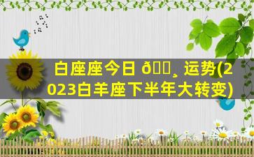 白座座今日 🕸 运势(2023白羊座下半年大转变)